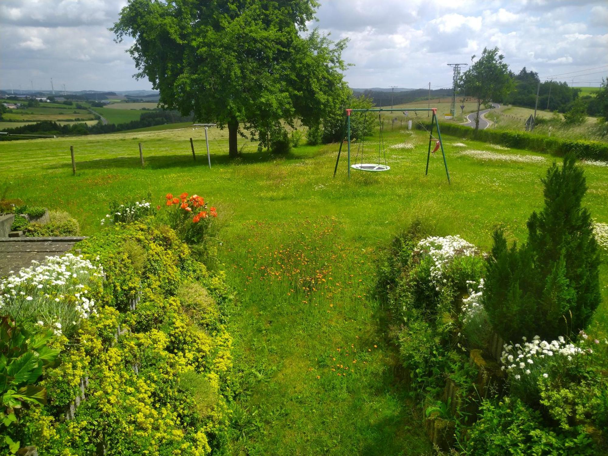 Appartement Urlaub Mit Hund Auf Dem Bauernhof Hofswald à Euscheid Extérieur photo