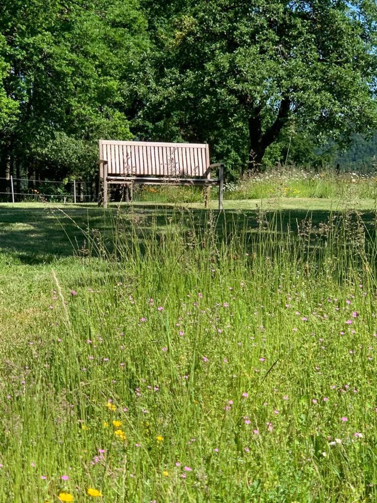 Appartement Urlaub Mit Hund Auf Dem Bauernhof Hofswald à Euscheid Extérieur photo