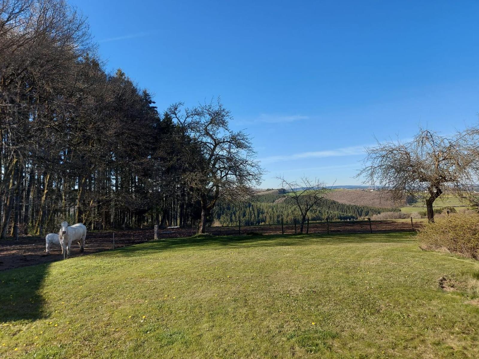 Appartement Urlaub Mit Hund Auf Dem Bauernhof Hofswald à Euscheid Extérieur photo