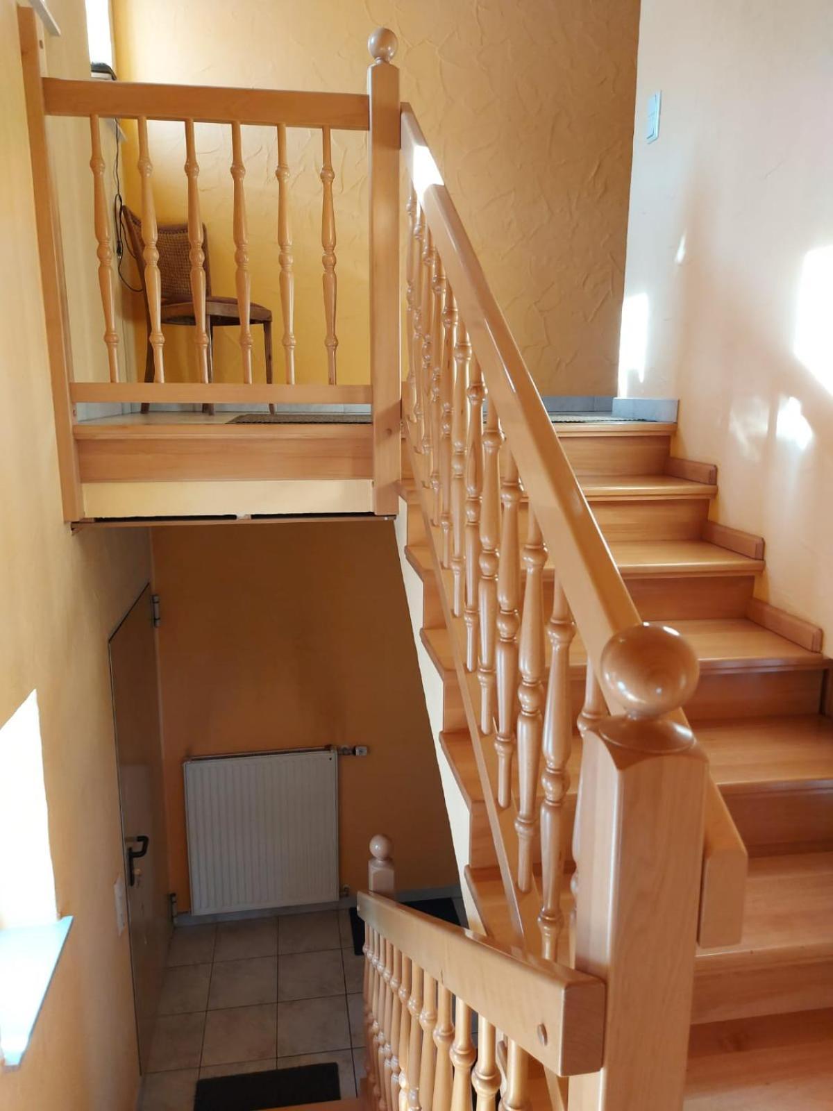 Appartement Urlaub Mit Hund Auf Dem Bauernhof Hofswald à Euscheid Extérieur photo